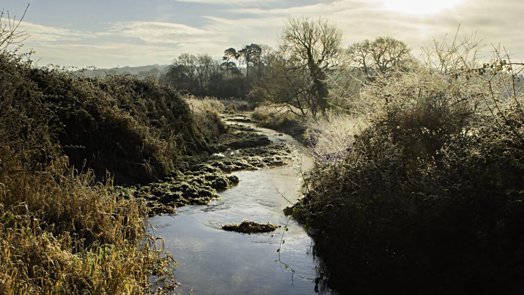 A frosty River Pang in Berkshire