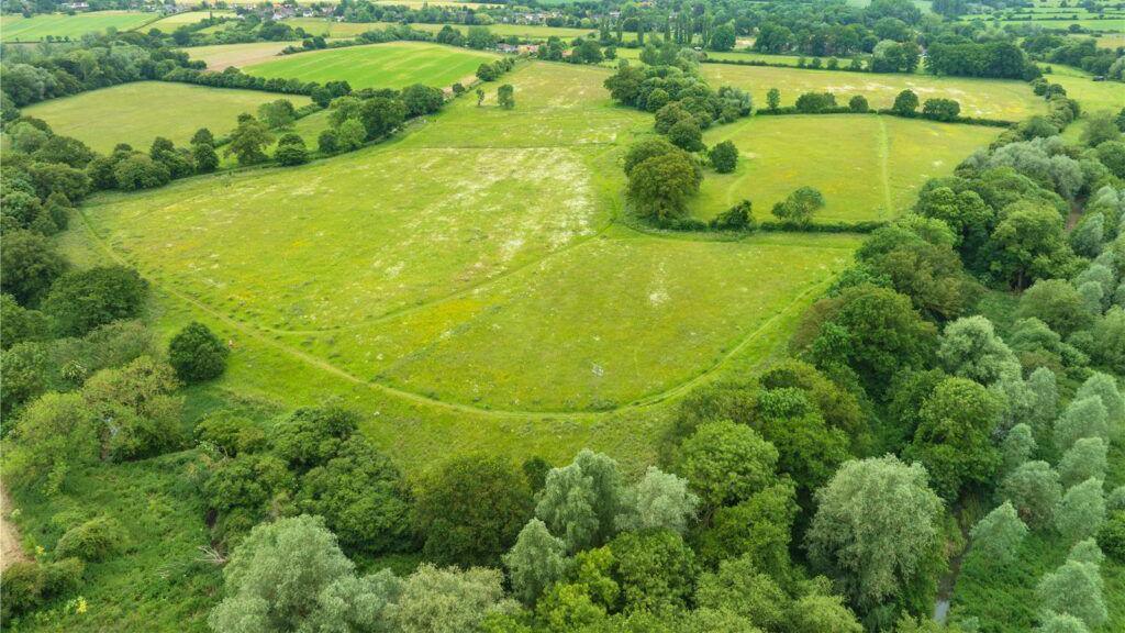 Open green piece of land flanked by large trees on three sides with more running through it. 