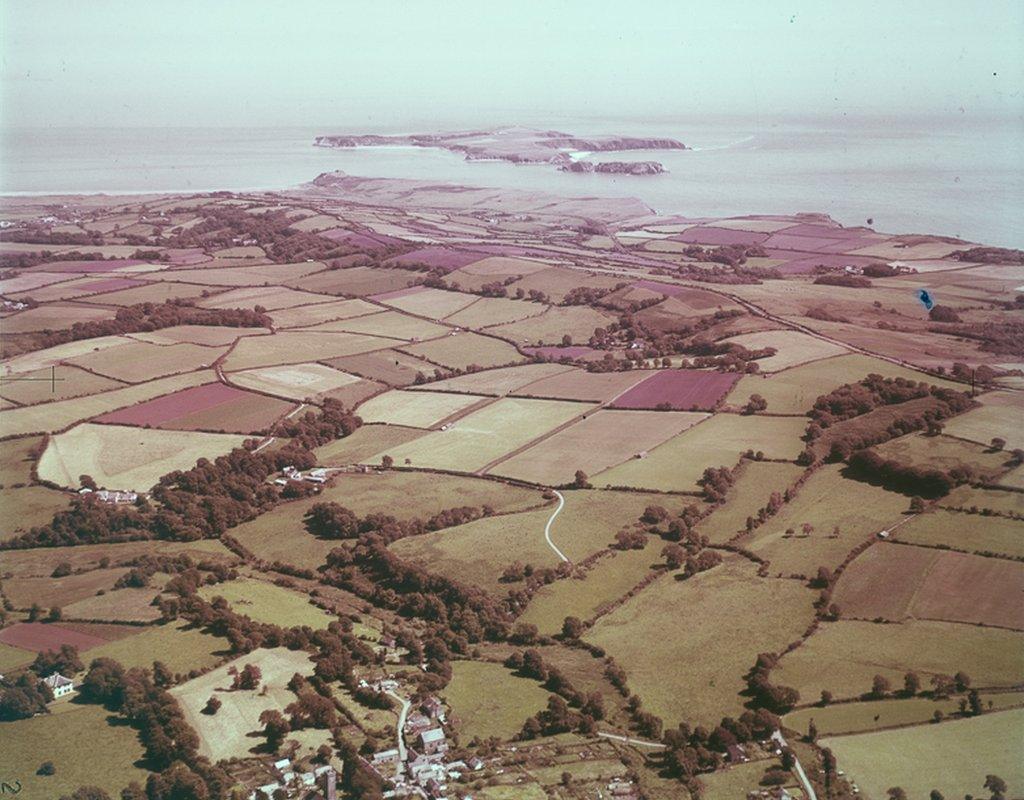 Panorama of Florence in Pembroke, 26 July 1948