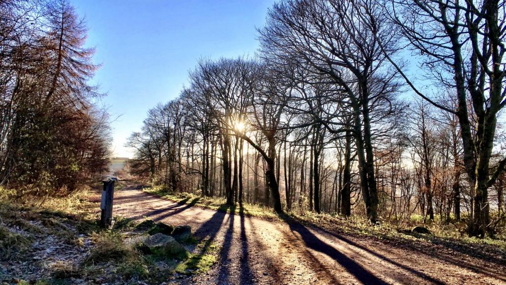 Longshaw estate