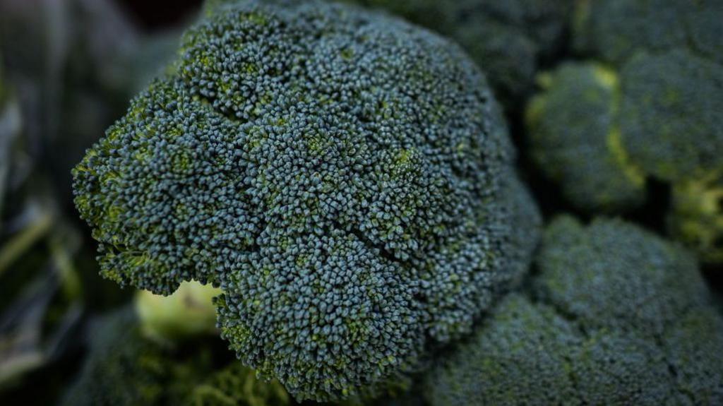 A close up shot of a green broccoli head, sitting on top of a pile of the leafy brassica
