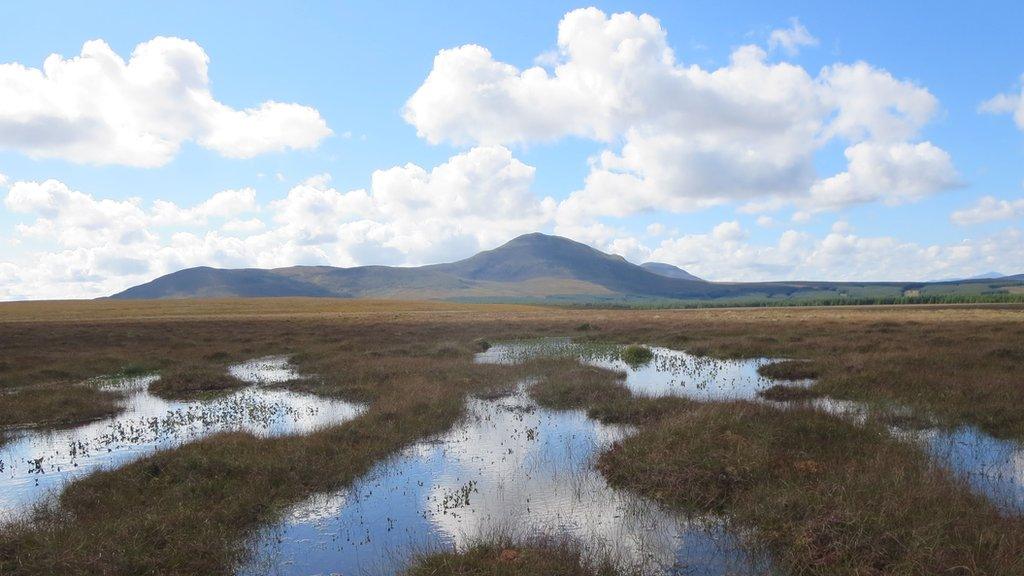 Talamh mòintich