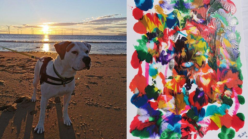 Dog paintings