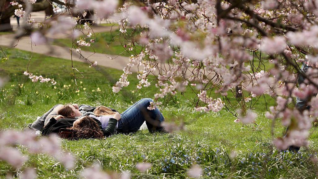 People lying down on grass clearly enjoying some warm sunshine with some pink blossom trees in the foreground