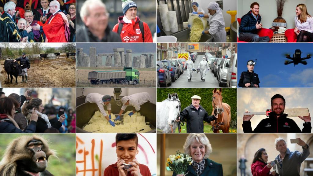West country montage