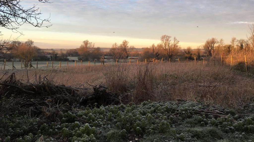 Frost in Hinxton