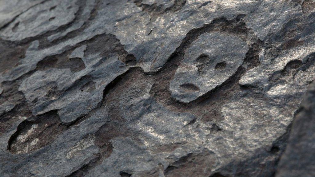 amazon riverbank ancient stone carvings