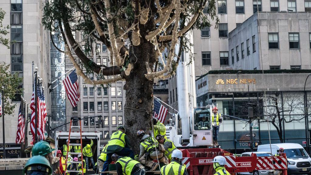 Workers install the Rockefeller Center Christmas tree 