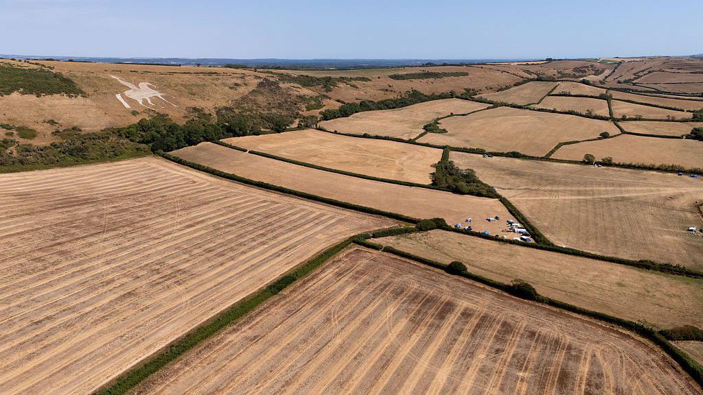 An aerial view of dried grass around Osmington White Horse in Weymouth.