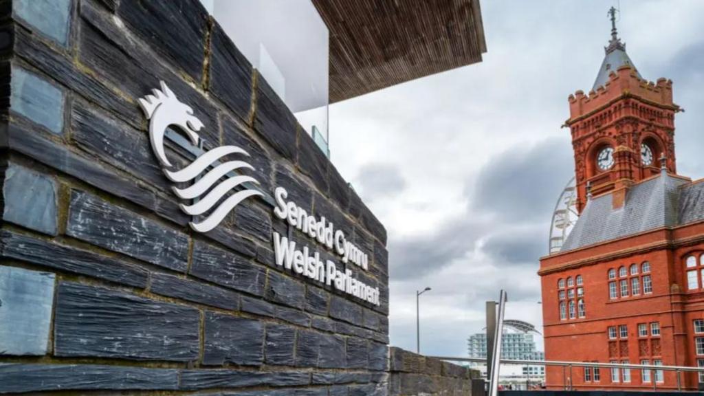 Senedd