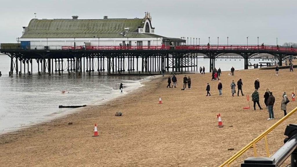 The beach at Cleethorpes with a seal inside a cordon in the foreground, with people and the pier behind.