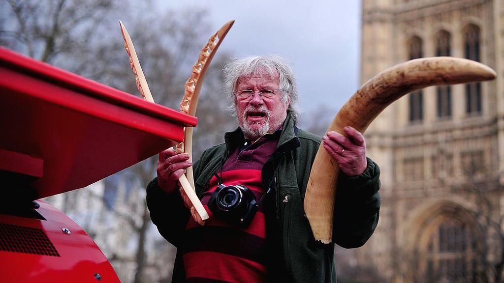 Bill Oddie holding elephants tusks to campaign against the illegal trade in ivory