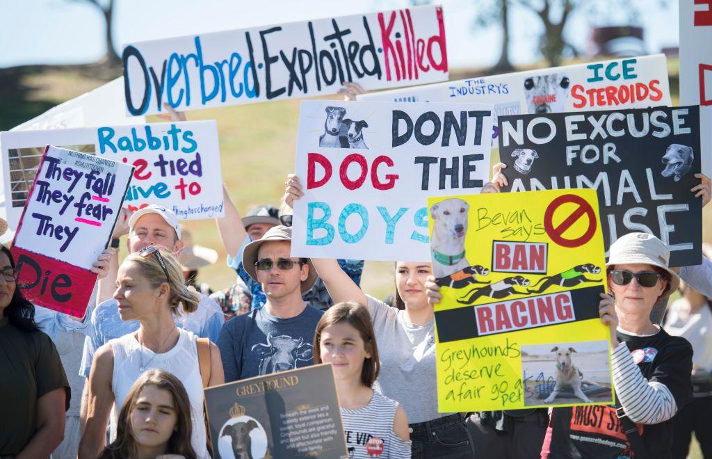 Greyhound racing protest in Sydney 