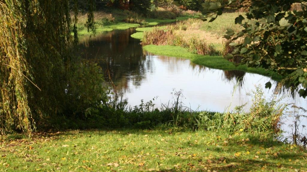 Attingham stream