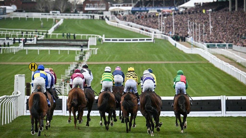 Runners at the Cheltenham Festival