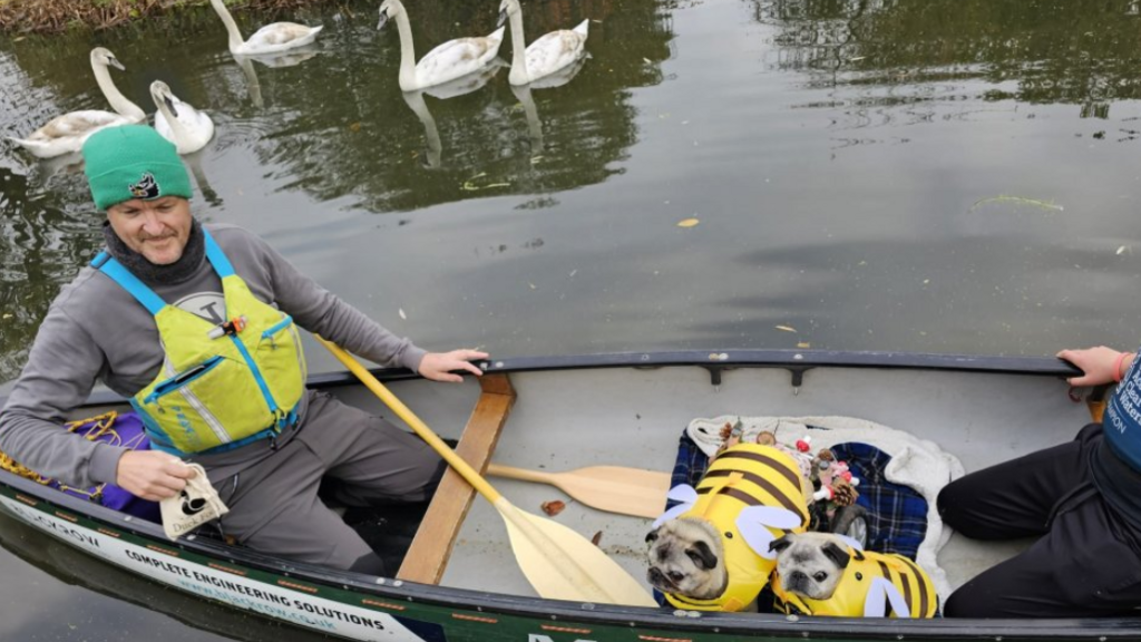 Two dogs in a canoe with a man on the river