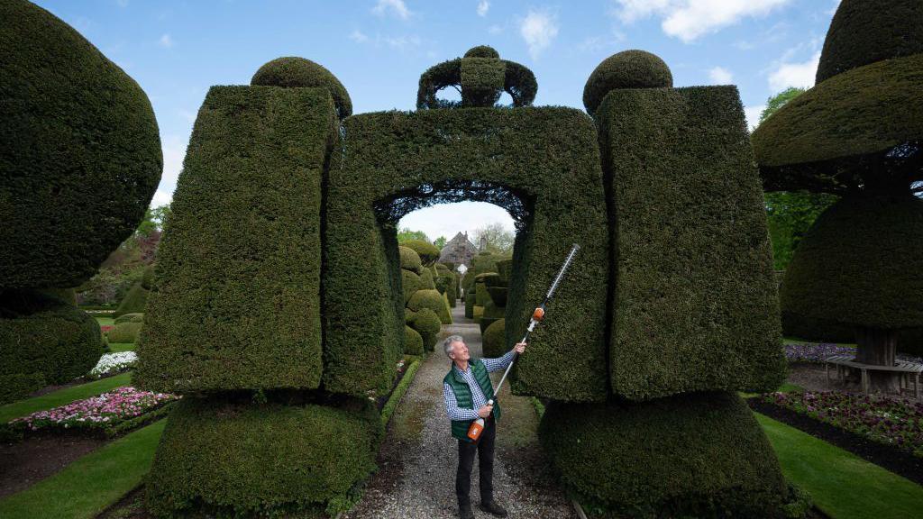 Man takes saw to a topiary 