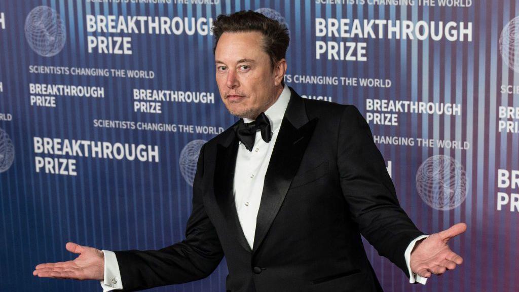 Musk on a red carpet, gesturing with both his arms open wide.