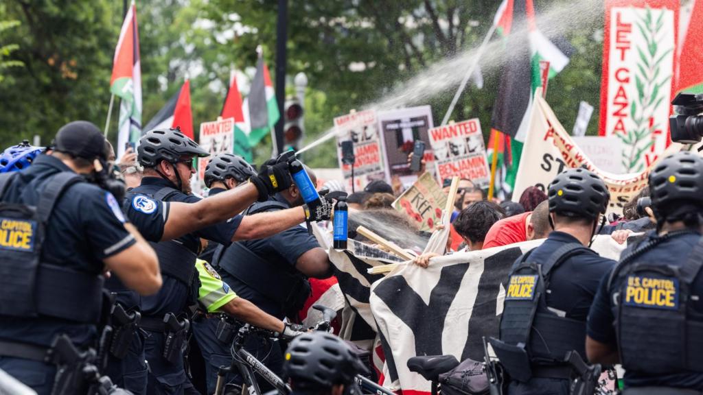 US Capitol police (L), alongside members of the NYPD, pepper spray protesters who gathered against the Israeli operations in Gaza and US weapons sales to Israel outside the US Capitol