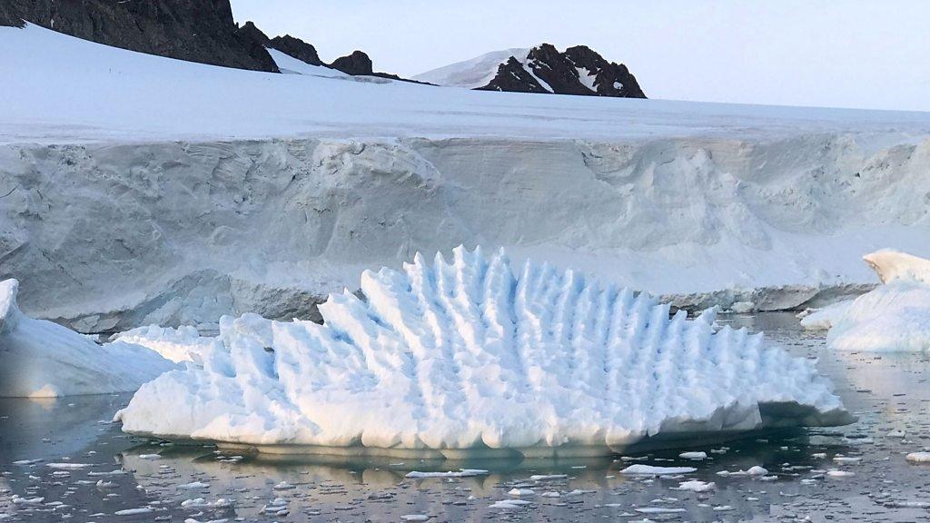 Antarctica loses three trillion tonnes of ice in 25 years - BBC News