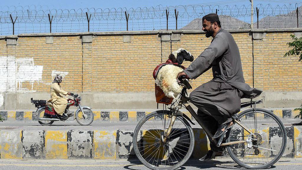 A man carries a sheep on his bicycle ahead of the Muslim festival of Eid al-Adha in Quetta on May 25, 2026. 