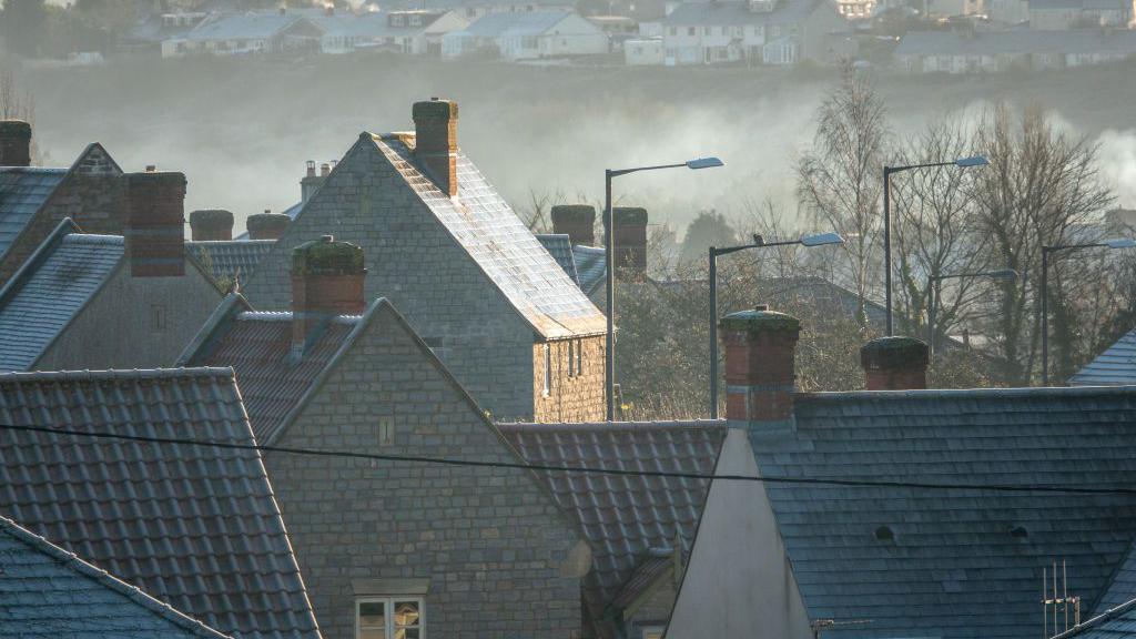 A group of houses next to deciduous trees. There is fog surrounding the houses.