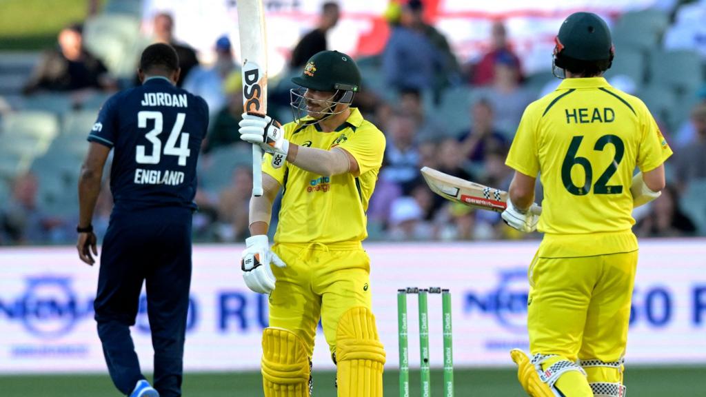 David Warner celebrates his 50