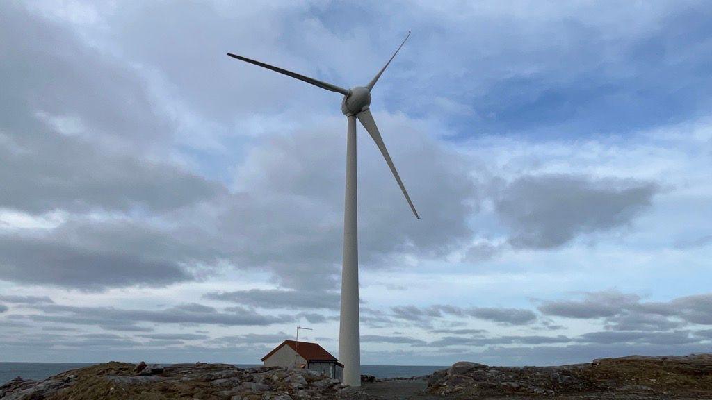 Spàgan - crann-gaoithe ann am Barraigh