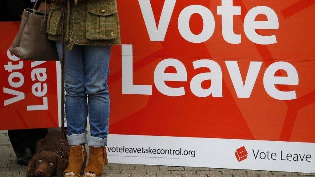 Vote Leave supporters