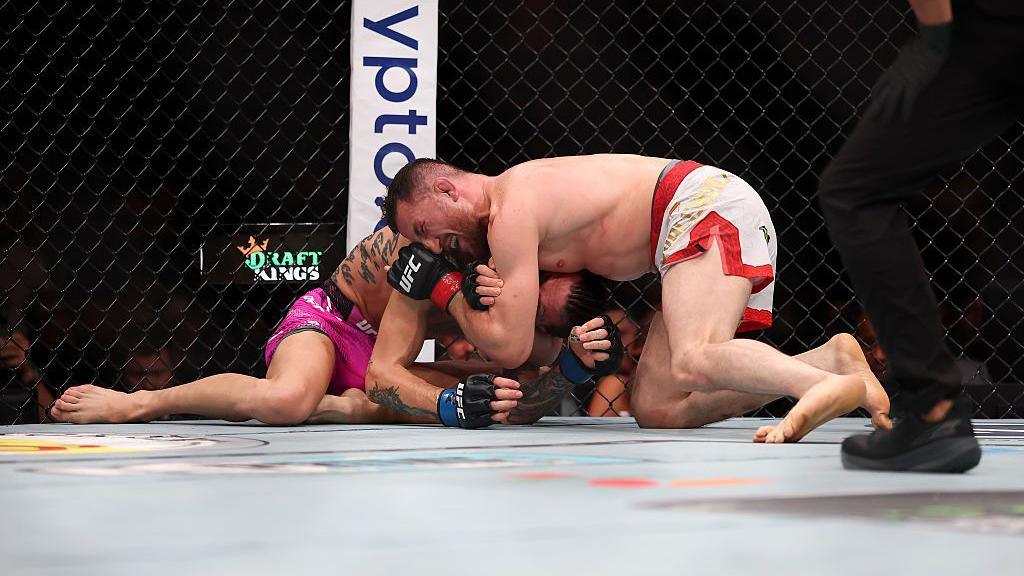 Merab Dvalishvili chokes Sean O'Malley