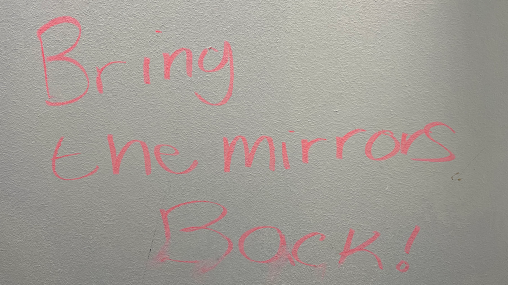 An image of the words "Bring the mirrors back" written in pink highlighter on a bathroom wall