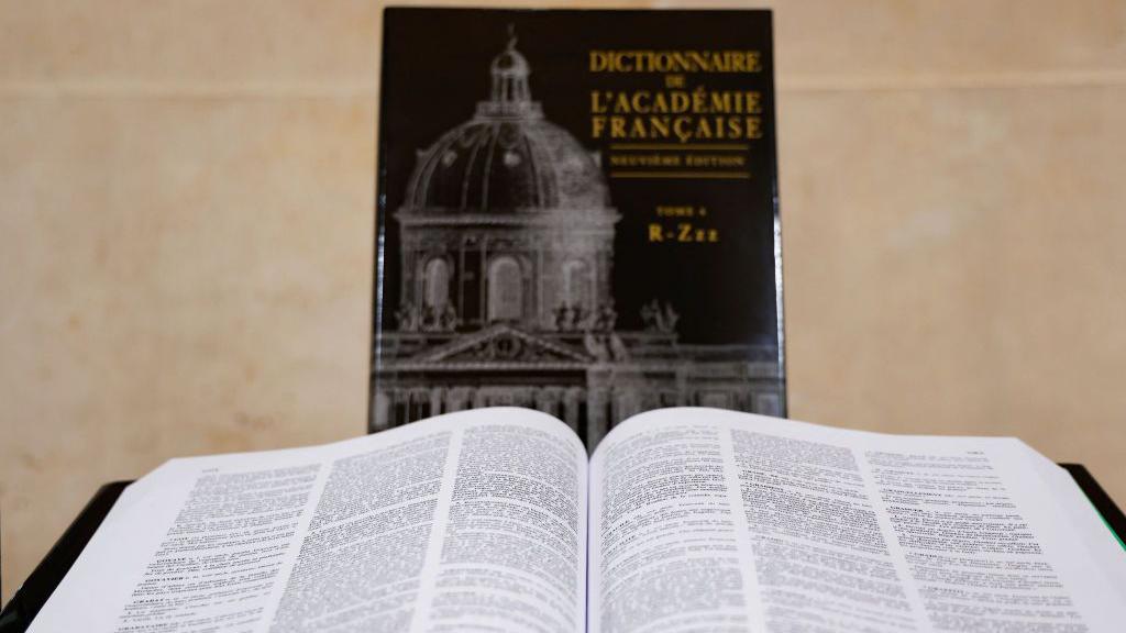 The 9th edition of the Dictionnaire de l'Academie Francaise laid open. Another copy showing the front cover of it sits behind the open copy. The front cover has Dictionnaire de l'Academie Francaise written on it in gold lettering on a black background next to a picture of the Institut de France.