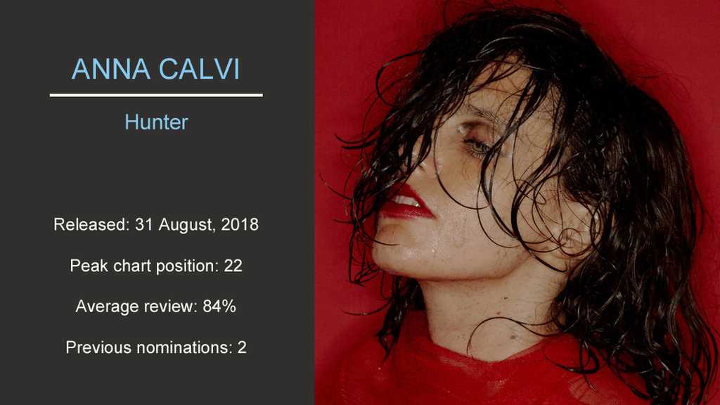 Artwork for Anna Calvi - Hunter