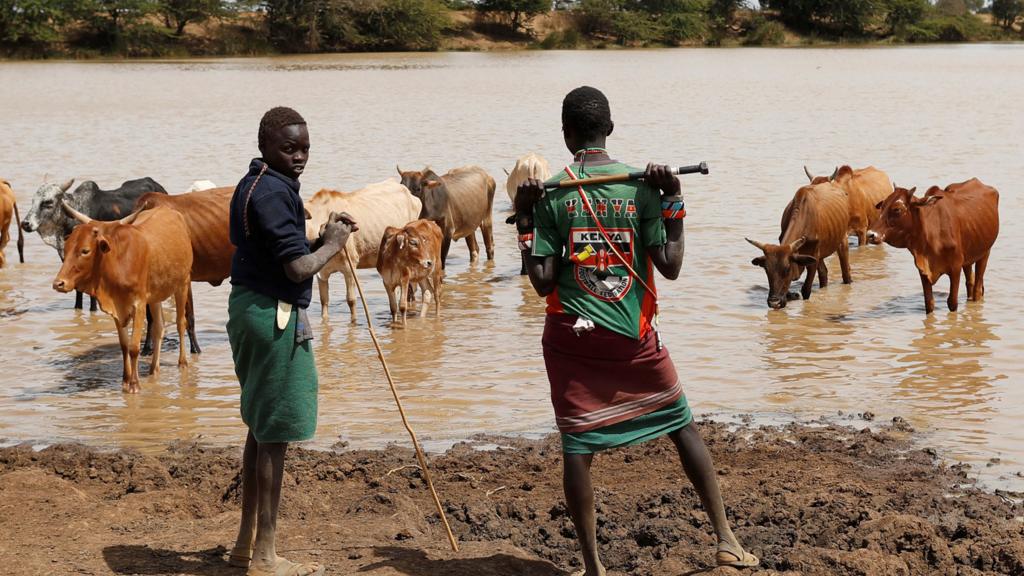 Kenyans with their cattle at a watering hole