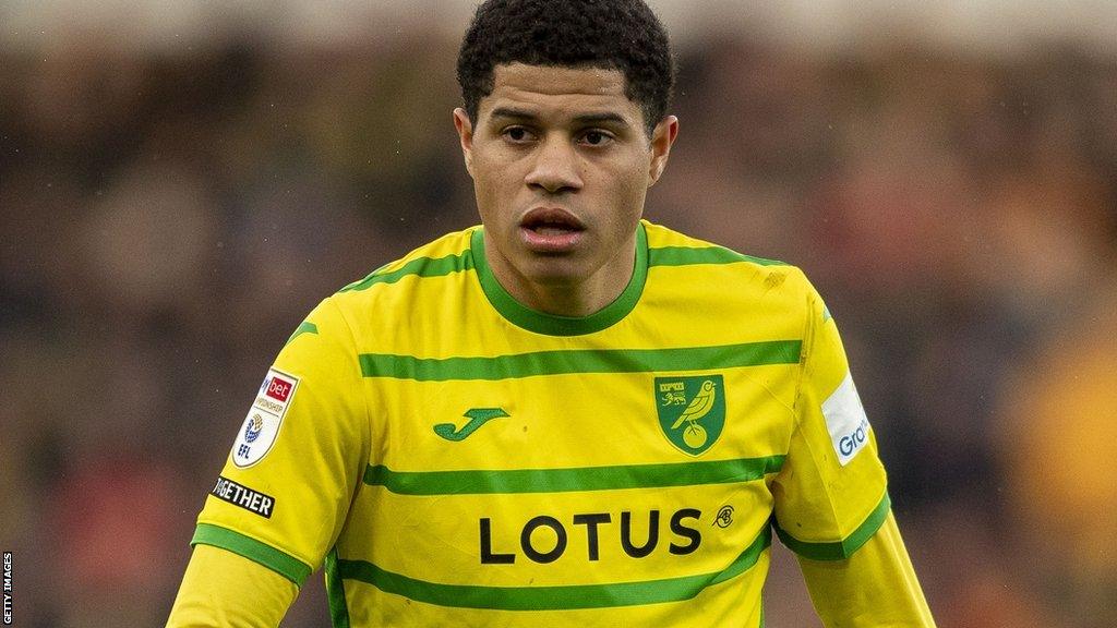 Norwich City midfielder Gabriel Sara