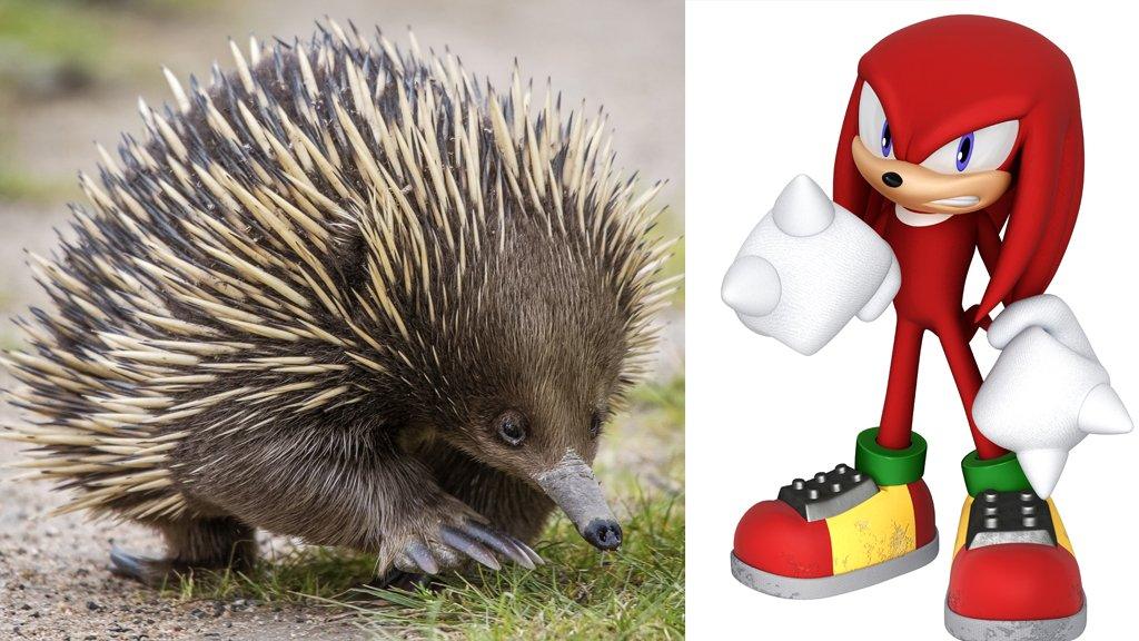 echidna-knuckles.