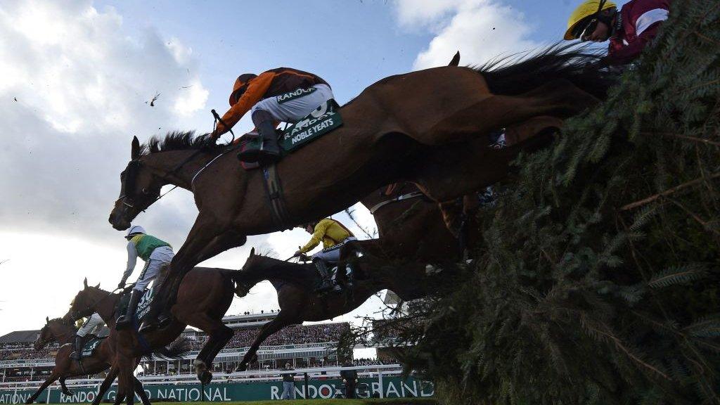 Runners in the Grand National