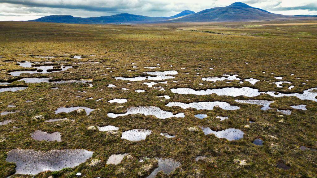 Wild, mossy peatlands in the north of Scotland