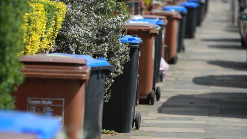 A row of black and blue, and brown, bins on a street. The bins are on the pavement with hedges alongside them.