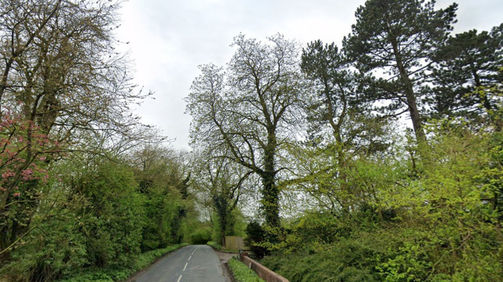 A narrow country lane flanked by lots of tall trees.