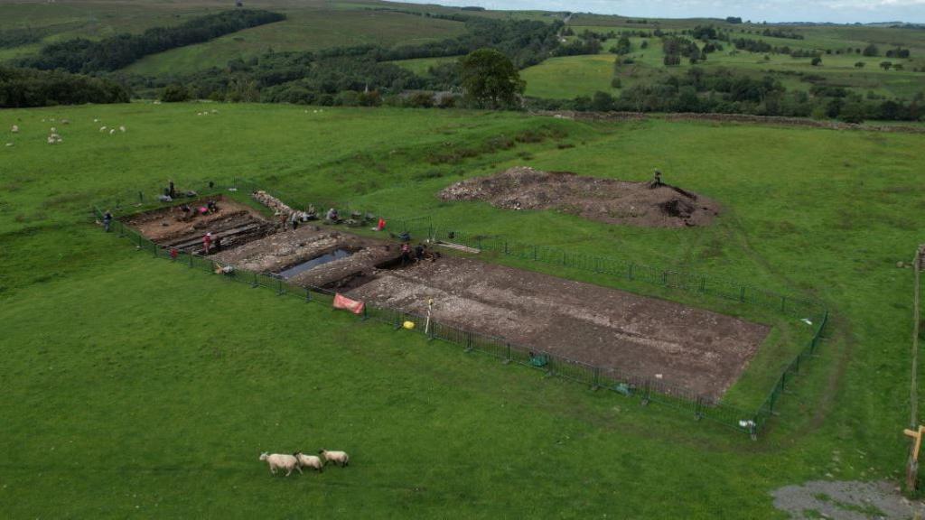 Aerial view of rectangular dig site amid green fields and sheep.
