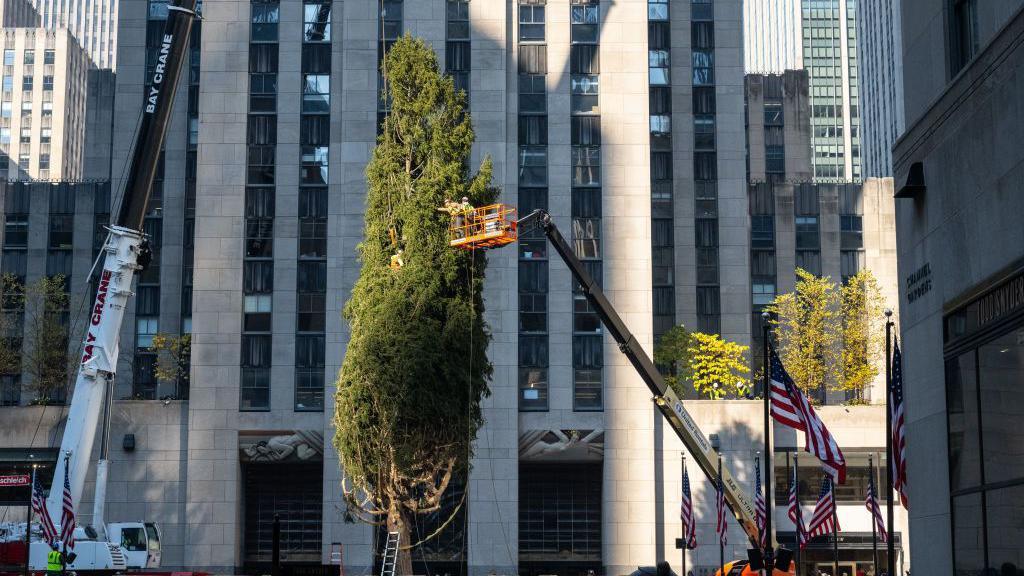 Workers install the Rockefeller Center Christmas tree using a crane 