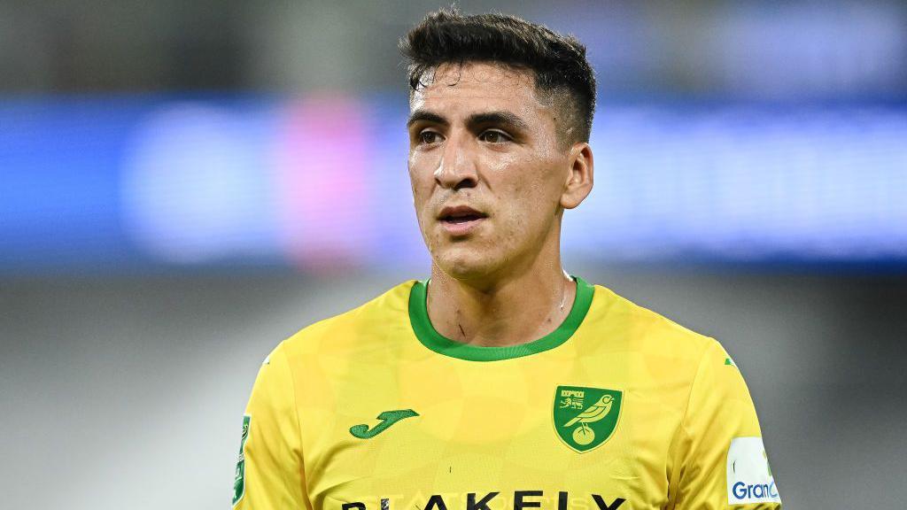 Marcelino Nunez of Norwich City looks on while in action for his side