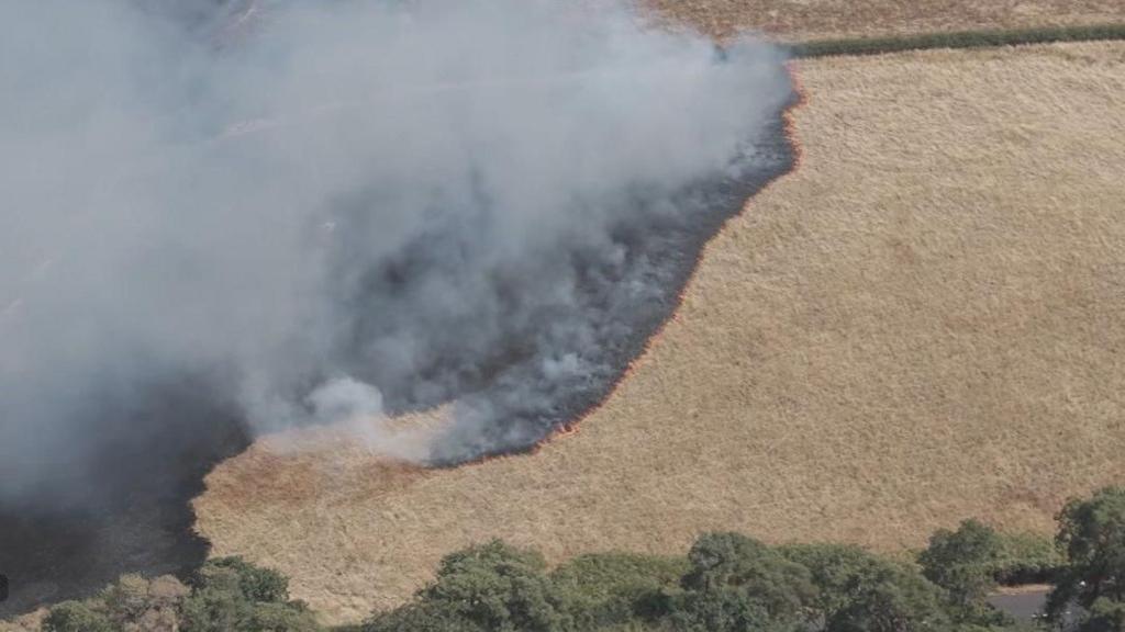 A huge fire on an area of land with huge plumes of smoke