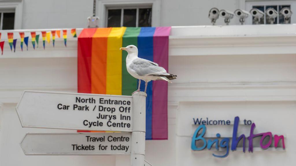 A seagull sits on a poll showing directions in front of a rainbow flag and a 'Welcome to Brighton' sign