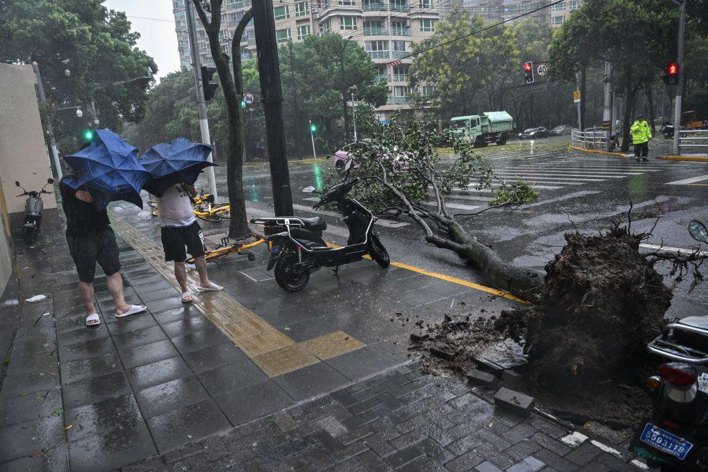 Pedestrians walk past a downed tree on the pavement as they struggle with their umbrellas in strong winds and rain from the passage of Typhoon Bebinca.