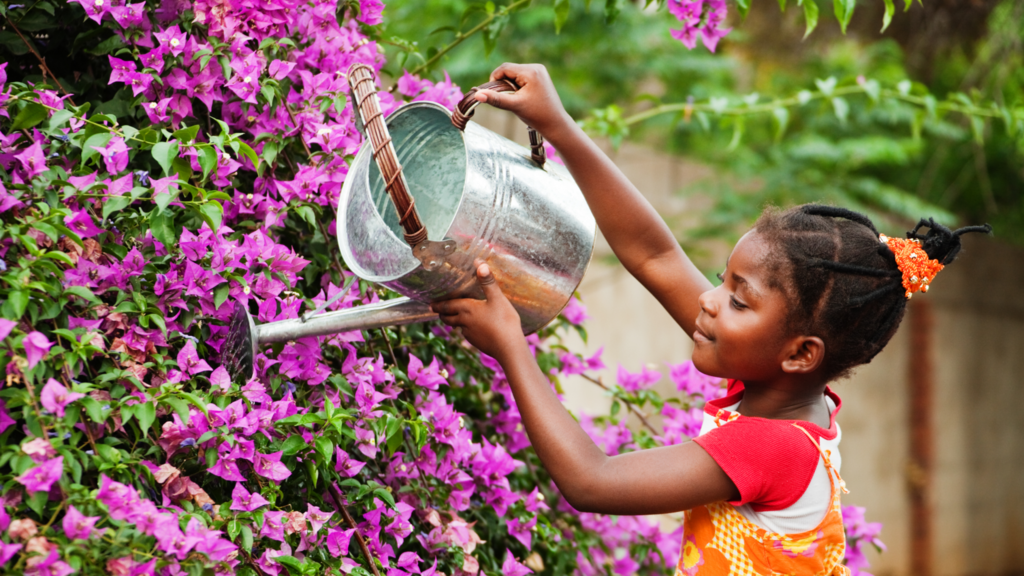 A girl watering bougainvillea