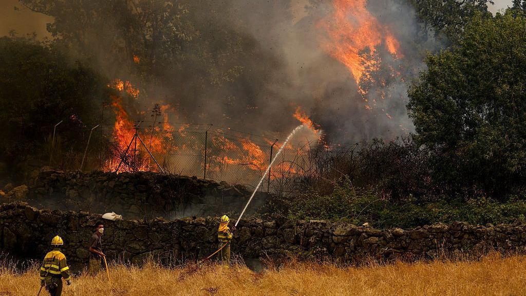 Firefighter use a hose to try extinguish flames in forest
