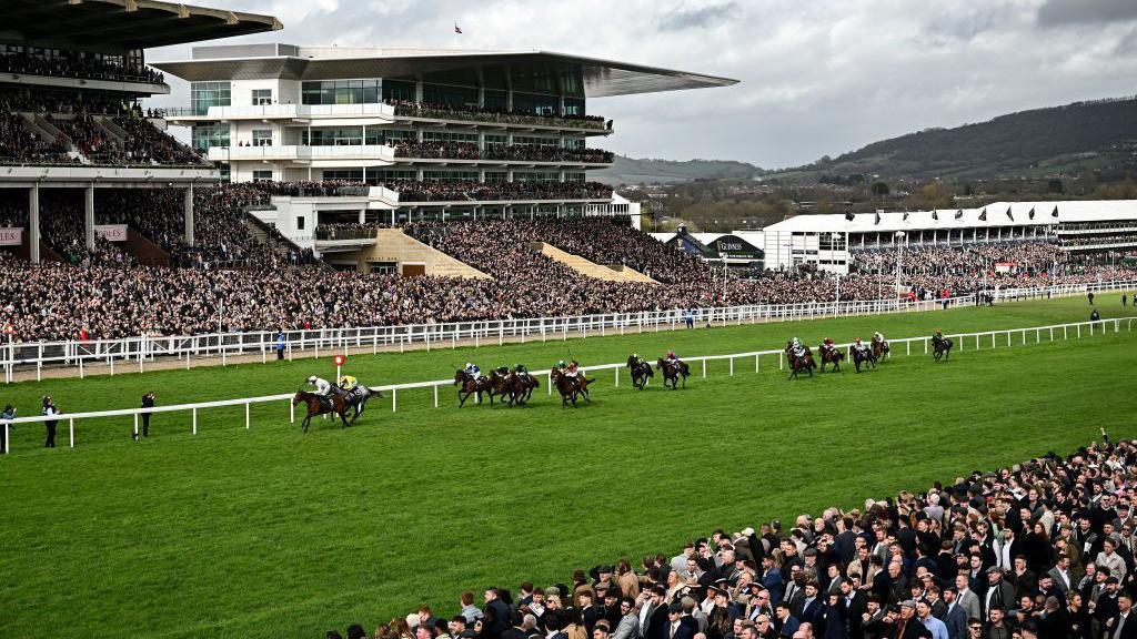 An image taken during a race at the Cheltenham Festival. There are thousands of people packed into the viewing stadiums and lining either side of the racecourse. There are 13 horses running past with their jockeys. It is an overcast day and the grass is a rich green.