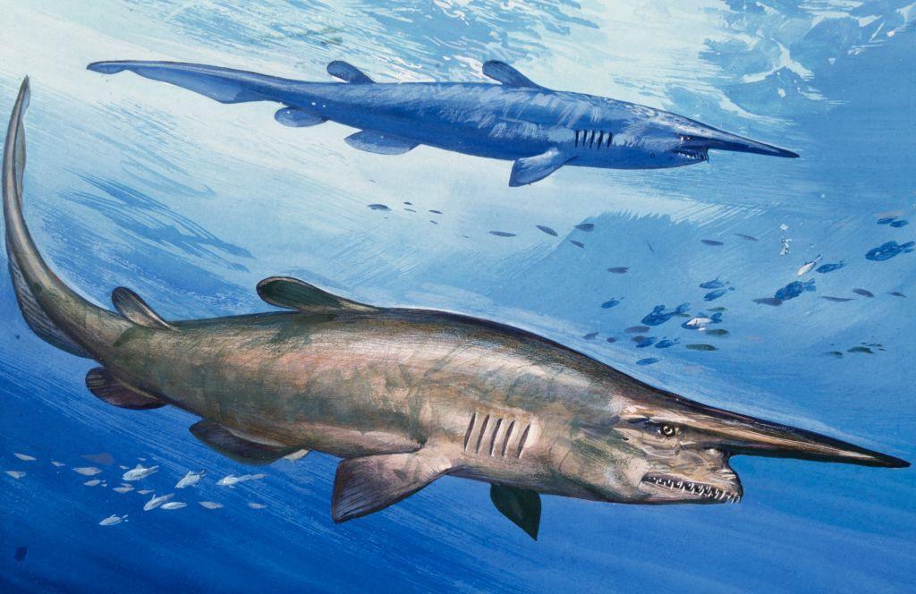 a painting of the goblin shark swimming in water.